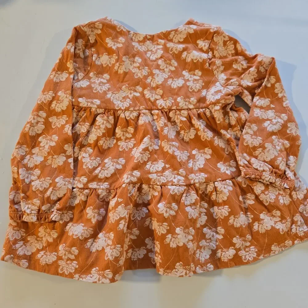 Burt Bee's Floral Spring/Fall Dress 24m‎